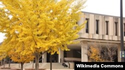 A student sits on the steps of Wescoe Hall at the University of Kansas, November 9, 2021.