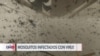 Detectan virus del Nilo en Las Vegas