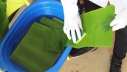 Hoja de banana, una alternativa para reducir el uso del plástico