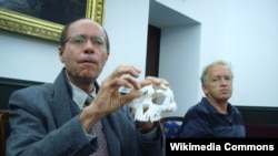 University of California Berkeley paleoanthropologist Tim White, left, displays a cast of fossil skeleton "Ardi," discovered in Ethiopia.