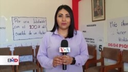Polémica en Bolivia por plagio en textos escolares