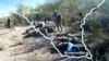 Thumb 1 Coyote - 1