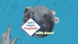 Apprenons l’anglais avec Anna, épisode 29: "What do you do in school?"