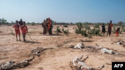 FILE - Watu wakiwa karibu na mizoga ya kondoo zilizokufa kutokana na ukame katika kijiji cha Hargududo, kilomita 80 kilometers kutoka mji wa Gode, Ethiopia, April 07, 2022. 