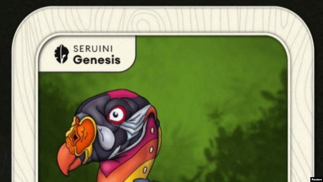 A non-fungible token (NFTs) of an illustration of a Brazilian king vulture by Los Angeles based graphic artist Ben Kwok.
