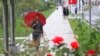9月14日，一场降雨之后，人们在朝鲜首都平壤中心地区走路。