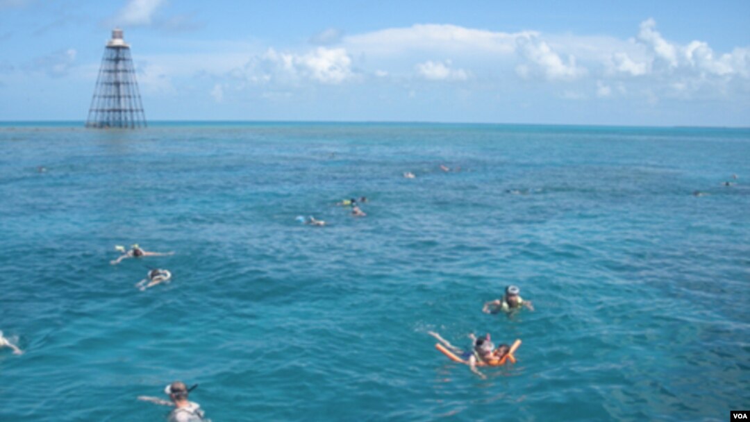 La práctica de snorkel en los corales de Key West es una experiencia fascinante.