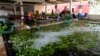 Plátanos recién cosechados se lavan en una granja en Los Ríos, Ecuador, el martes 15 de agosto de 2023. 