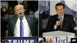 Donald Trump y Ted Cruz son los que esperan sumar el mayor número de delegados