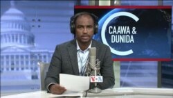 Caawa iyo Dunida