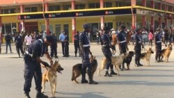 Cão polícia deixa manifestante em estado grave - 2:07