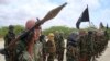 US-Somali operation kills 10 al-Shabab militants