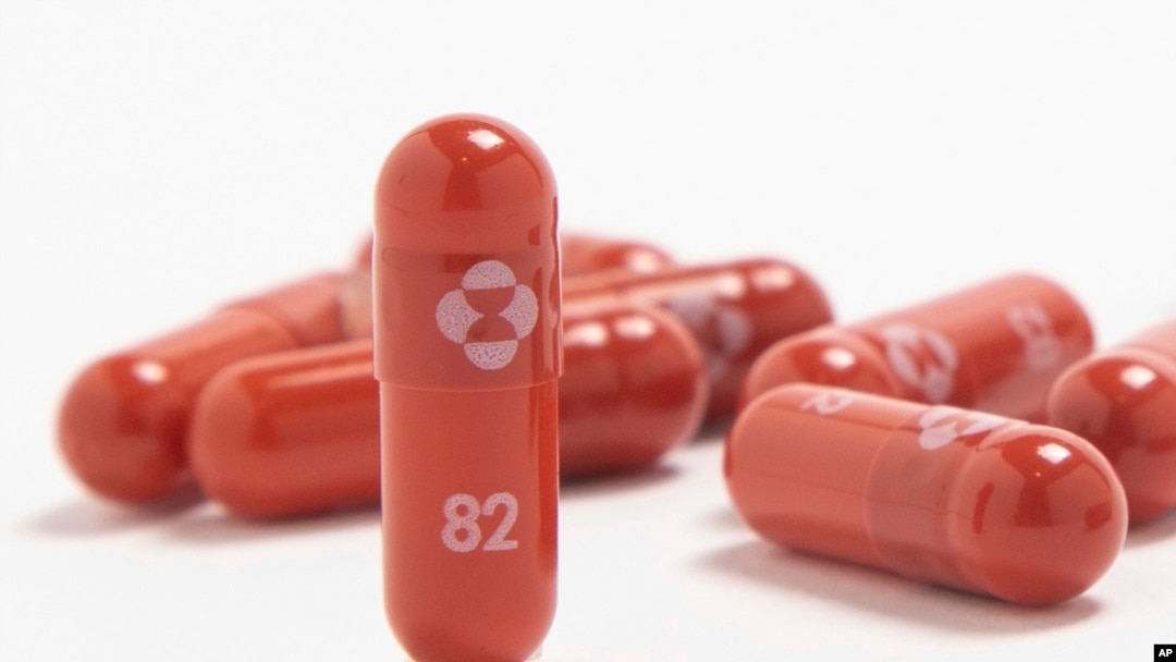 En imagen sin fechar proporcionada por Merck & Co. se muestra su píldora molnupiravir contra el COVID-19. (Merck & Co. vía AP, archivo)