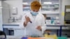 A researcher manipulates proteins in a laboratory as part of a project to develop a COVID-19 nasal spray vaccine at the University of Tours, France, Sept. 15, 2021. 