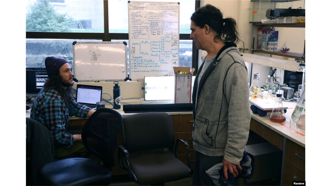 Senior Research Scientist Jason Hodin of the University of Washington’s Friday Harbor Marine Lab speaks with research assistant and diver Joey Ullmann inside the lab at the university’s field station in Friday Harbor, Washington, U.S., February 11, 2023. (REUTERS/Matt Mills McKnight)