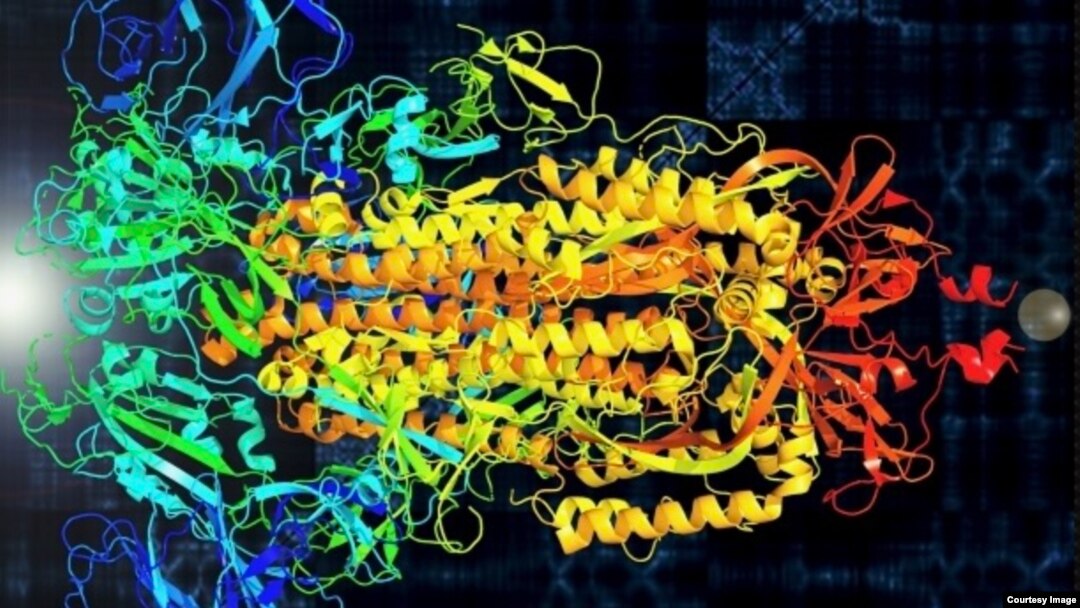 This illustration represents the vibrational properties of the new coronavirus (SARS-Cov-2). Primary colors represent the spike's three protein chains. (Image courtesy of Markus Buehler)