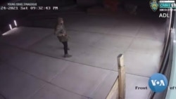 New York Synagogue Vandalism Highlights Growing Antisemitic Incidents 