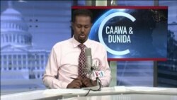 Caawa iyo Dunida
