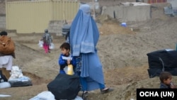 عکس از اوچا