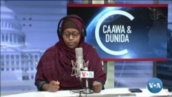 Caawa iyo Dunida