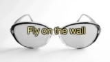 Anglais Express : Fly on the wall