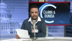 Caawa iyo Dunida