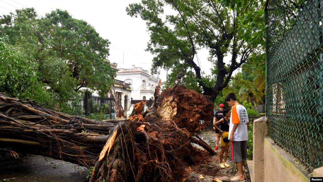 ARCHIVO - La gente se encuentra junto a un árbol arrancado de raíz por los fuertes vientos después de que el huracán Rafael dejó sin servicio eléctrico al país, dejando a 10 millones de personas sin servicio eléctrico, en La Habana, Cuba, el 7 de noviembre de 2024.
