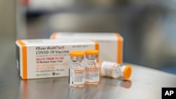 Esta foto de octubre de 2021 distribuida por Pfizer muestra las dosis pediátricas de su vacuna contra el COVID-19 en Puurs, Bélgica. 