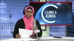 Caawa iyo Dunida