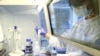 “Los sectores farmacéuticos, de la salud y de investigación trabajando sobre el COVID-19 deben ser conscientes de que son el principal objetivo” de los hackers, escribió el FBI en un anuncio de servicio público. 