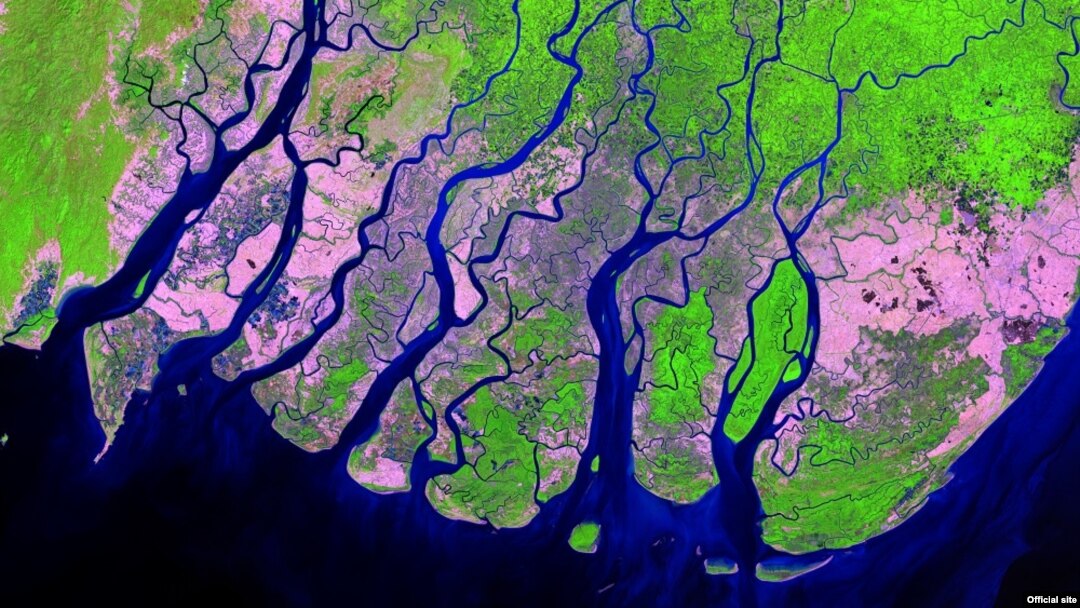 Irrawaddy Delta, Myanmar 2017 Feb 6 -Landsat 8 (Photo credit USGS)