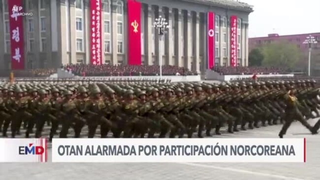 OTAN alerta sobre apoyo norcoreano a Rusia en conflicto contra Ucrania